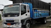 Camión Chevrolet FTR 2010