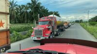 Vendo Cabezal kenworth