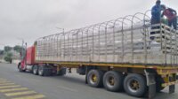 Vendo plataforma en caravana