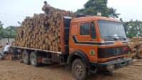 VENDO MULA PLATAFORMA MERCEDES BENZ 2632